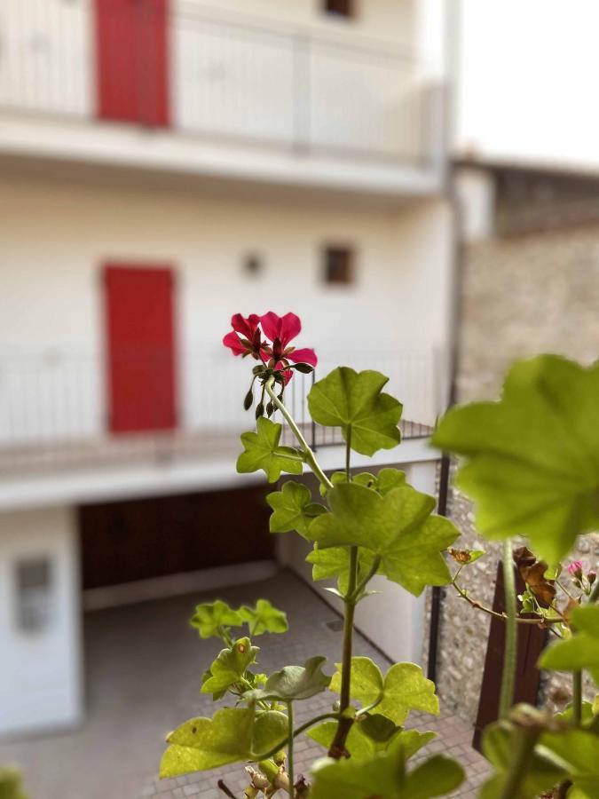 La Volpe Rossa Rooms And Apartments San Felice del Benaco Zewnętrze zdjęcie